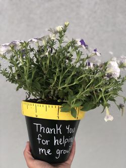 Thank you for helping me grow plant for teachers
