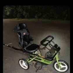 Rfton Spacial Needs Tricycle 