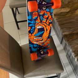 Santa Cruz Skate Board 