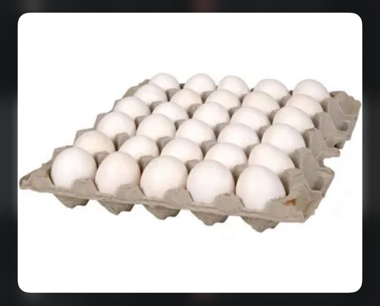 Carton De Huevos (30)