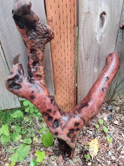 Driftwood 19x15x5