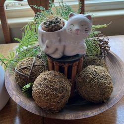 kitty cat cactus with other nick nacs in nice wooden bowl