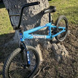 GT THUMPER RACING BMX   Dyno RedLine Mongoose 