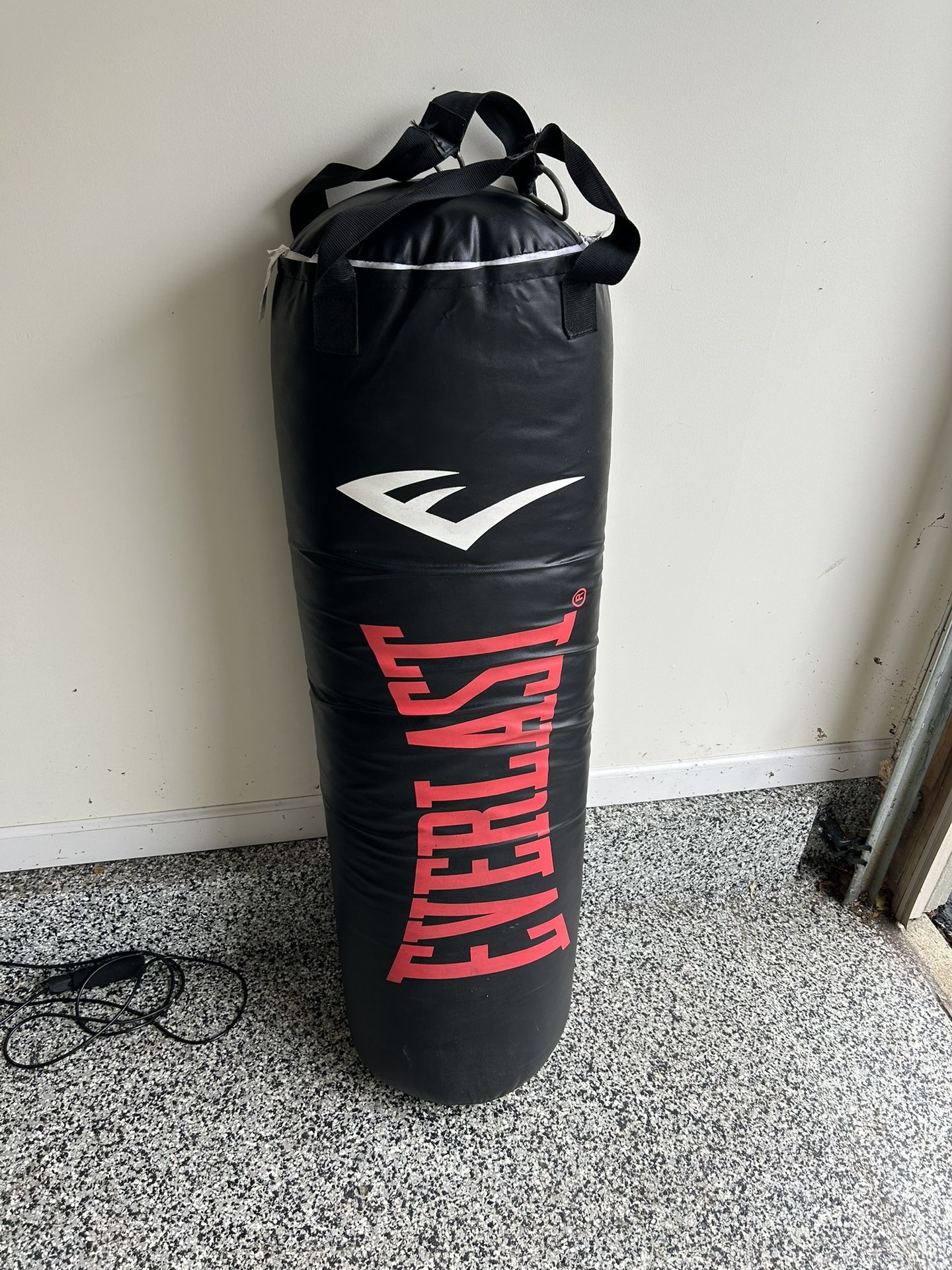 Everlast Punching Bag