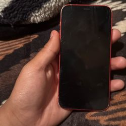 iPhone 12 Mini
