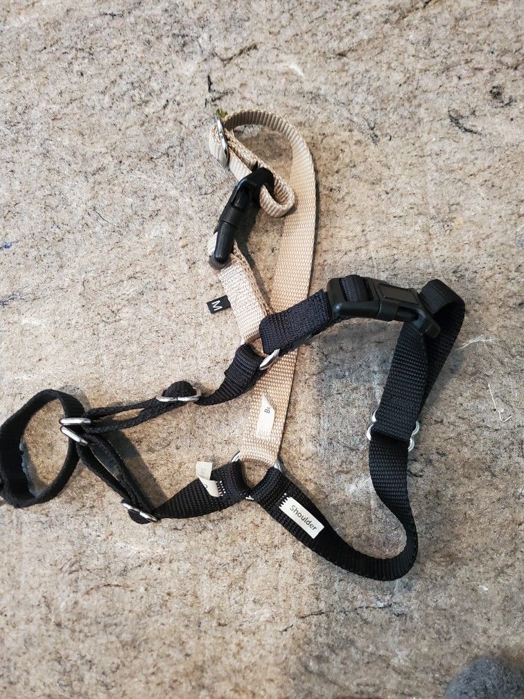 Easy Walk Dog Harness
