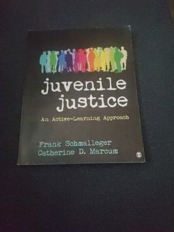 Juvenile Justice An Active Learning Approach
