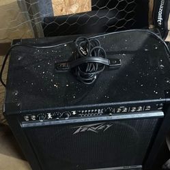 Peavey TKO 115 BW AMP with Long Cable connector