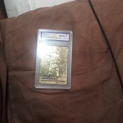 Tom Brady Gold Card