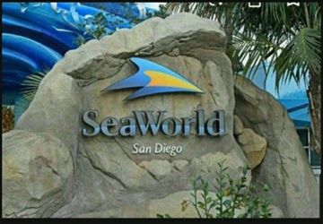 sea world san diego seaworld