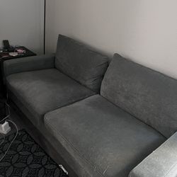 Selling Couches Grayish/Green 100 OBO 