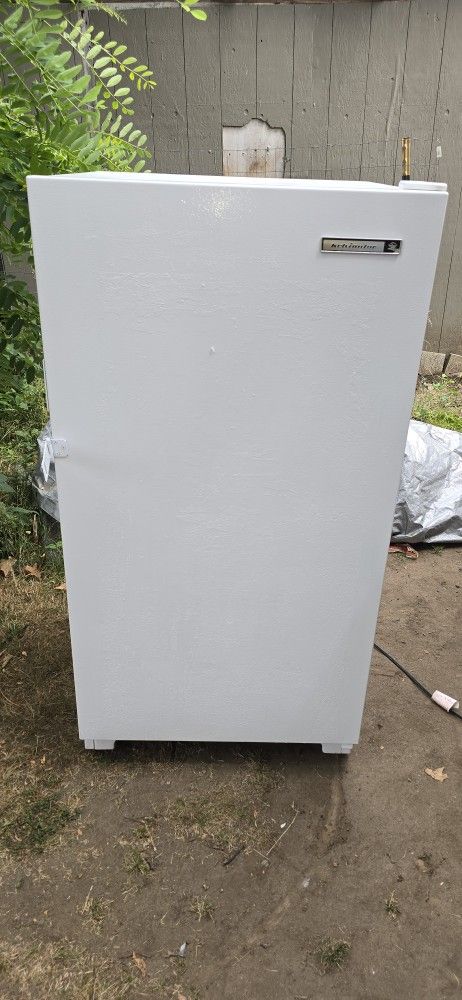 Stand Up Freezer