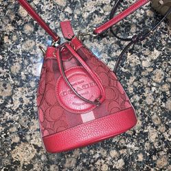 Mini Coach Crossbody Like New $75