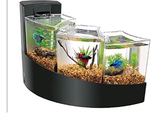 2 Aqueon Betta Tank