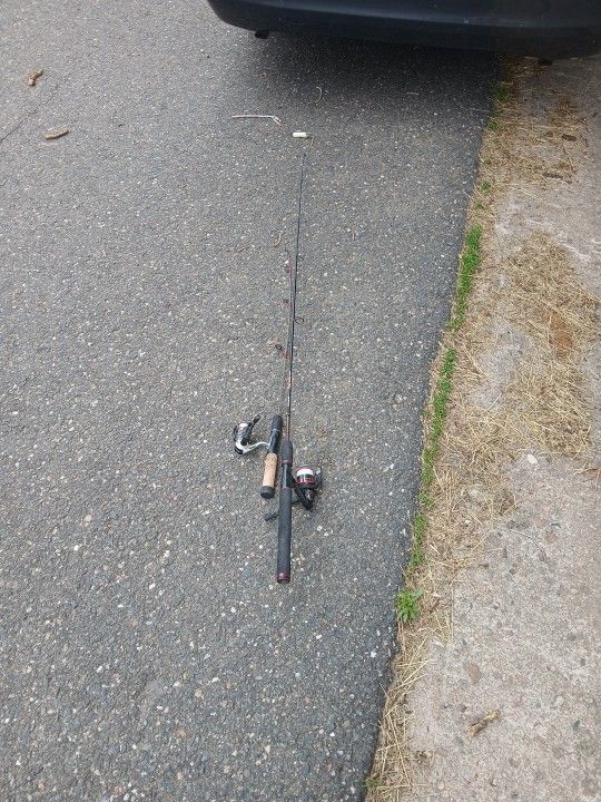 Fishing Rods With Line