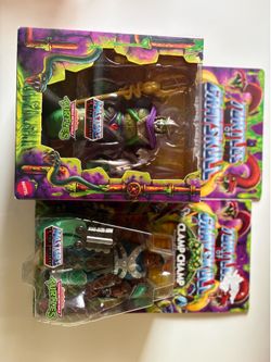 MOTU / TMNT  2 figure set