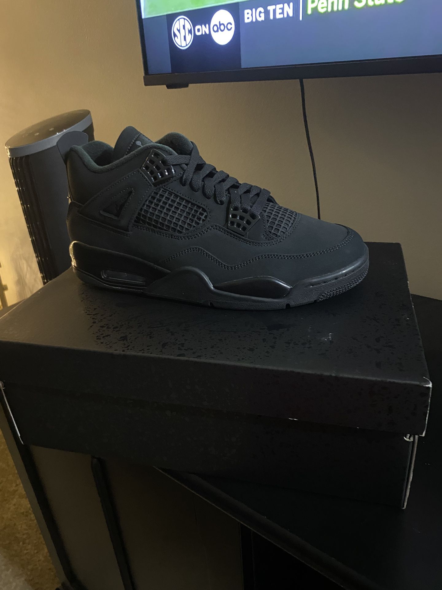 Air Jordan 4s Retro Size 10