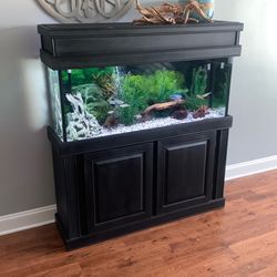 55 Gallon Fish Tank w/Canister Filter