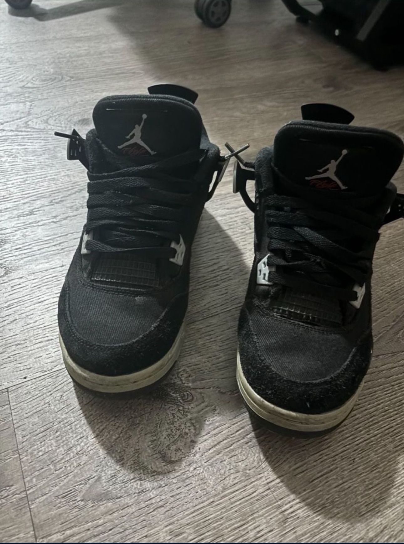 Jordan 4s Canvas