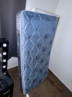 twin mattress and box spring