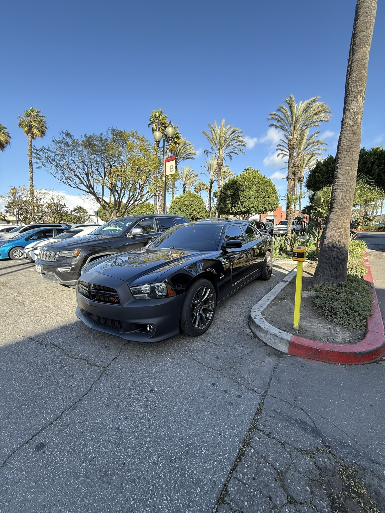 Charger Hood