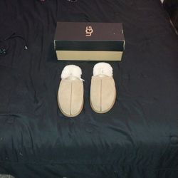 Men's Ugg Slippers