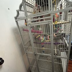 Bird Cage/ Jaula 