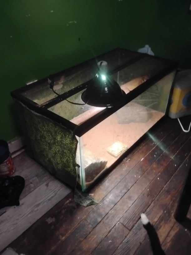 Reptile Cage