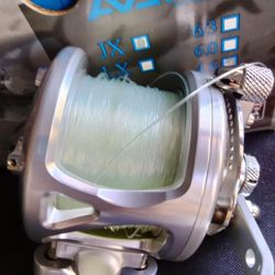 Avet JX G2 Conventional Fishing Reel (Other Listings Accurate Daiwa Shimano)
