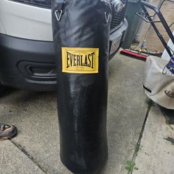 Everlast Heavy Bag