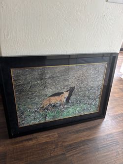 Picture frame
