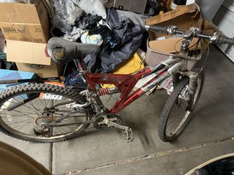 Adult and Youth Bike