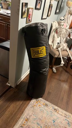 Everlast Punching Bag
