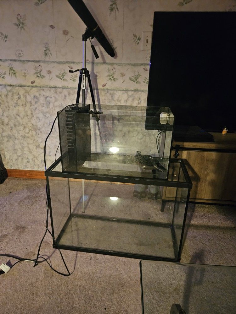 2 different fish tanks