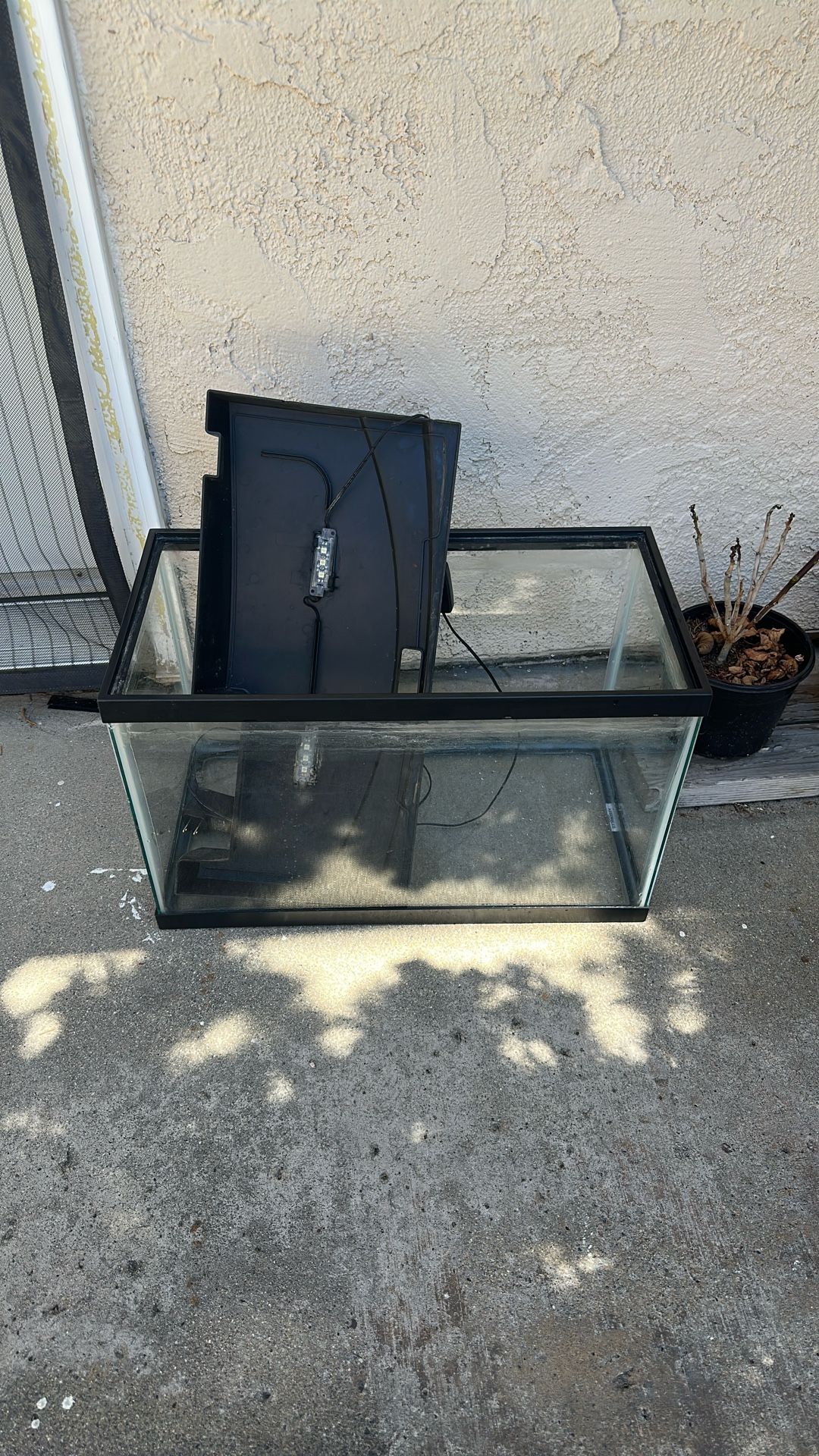 20 Gal Fish Tank