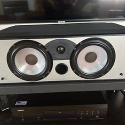 Paradigm Center Channel Speaker