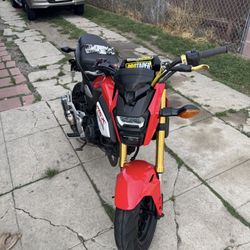 2019 Grom