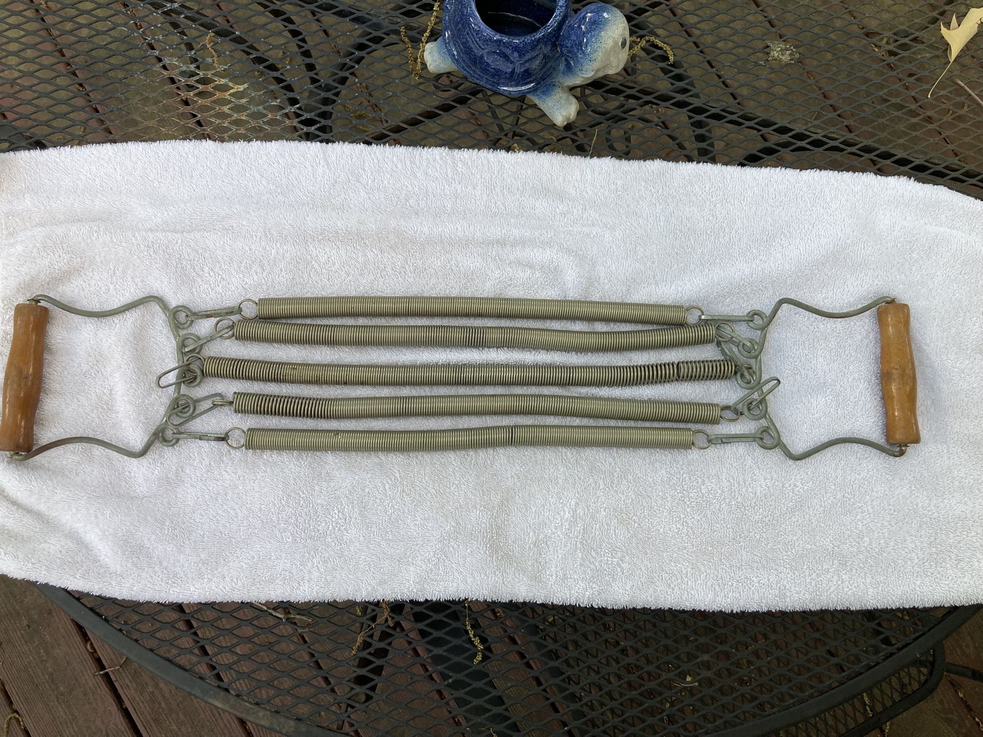 Vintage Sports Chest Expander