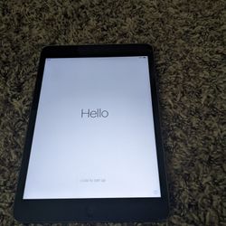 iPad Mini - 1st Generation