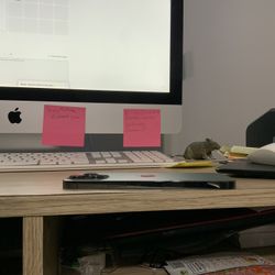iPhone 13 Max Pro With Tic Tok Still Working 