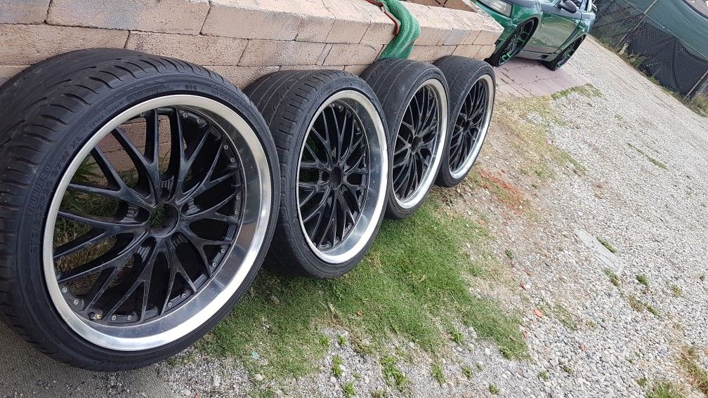 Rines 20"