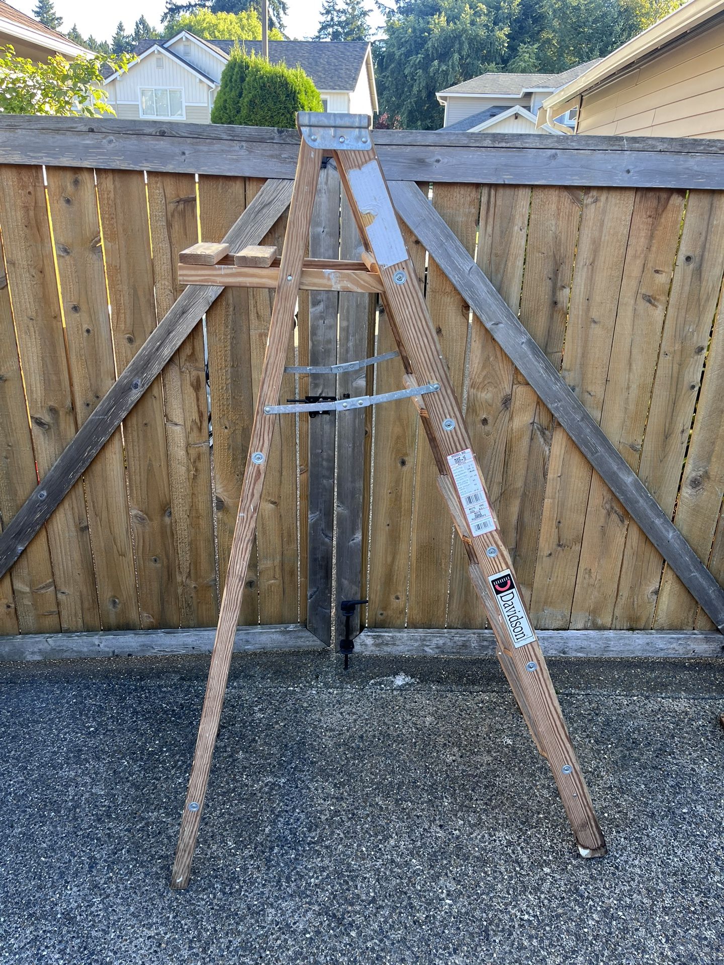 Painters Ladder 