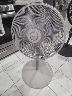 Fan