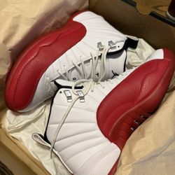 Shoes “Jordan 12”