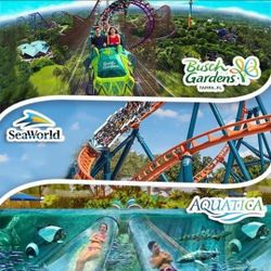 Busch Gardens 