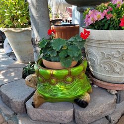 Turtle Pot 