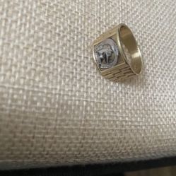 10k Horse ring 
