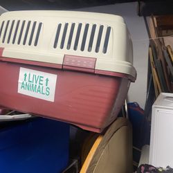 Pet carrier medium