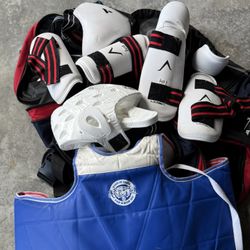 VISION Youth Taekwondo Sparing Pads
