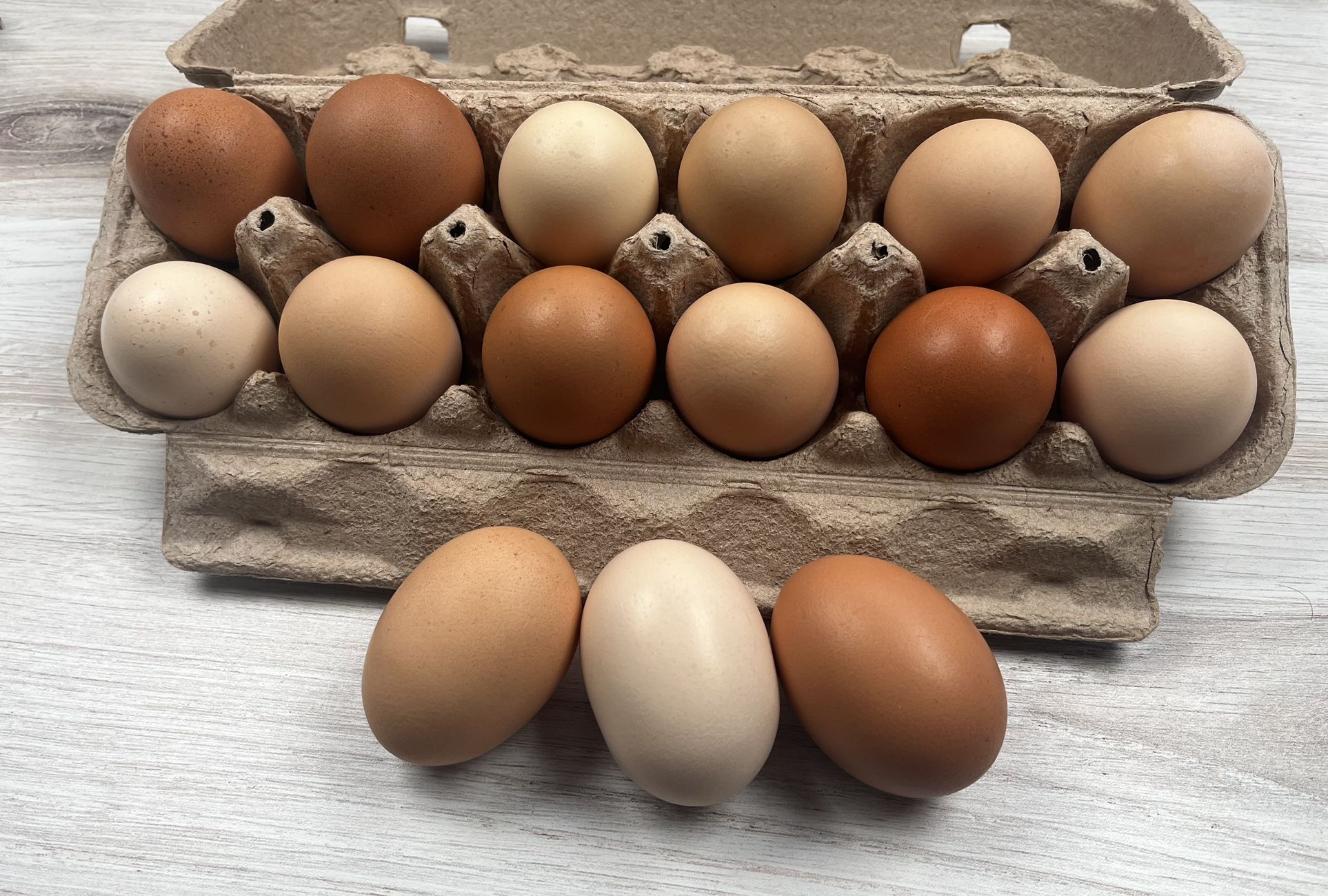 Farm Fresh-Pasture Eggs